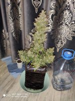 IMG_20200126_200855.jpg
