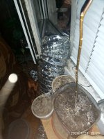 IMG_20200126_192506.jpg