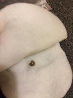 WhatsApp Image 2020-01-25 at 23.15.14 (1).jpeg