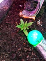 IMG_20200128_131133.jpg