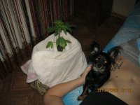 IMG_1329.JPG