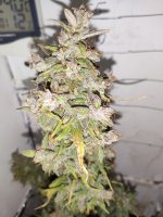 IMG_20200131_195855.jpg