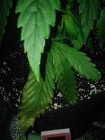 IMG_20200202_204554.jpg