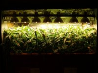 2020 02 12 o (3).jpg