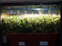 2020 02 12 o (7).jpg