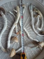 IMG 20200107 092243.jpg