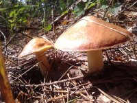 2019-07-13 10.36.29.jpg