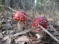 2019-09-28 12.31.06.jpg