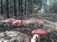 2019-09-28 13.00.18.jpg