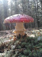 2019-09-28 12.34.51.jpg