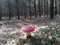 2019-09-28 12.34.56.jpg