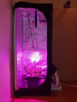 20181224_131310.jpg