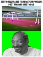 14007632.jpg