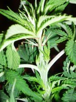 2020 02 22 а (8).jpg