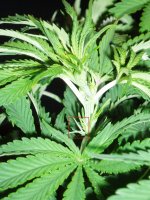 2020 02 22 а (2).jpg