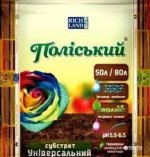 Без названия (1).jpg