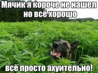FB_IMG_1579700299425.jpg