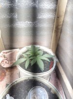 IMG_20200229_125423.jpg