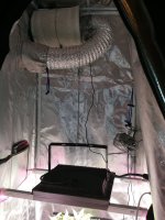 IMG_20200302_205207.jpg