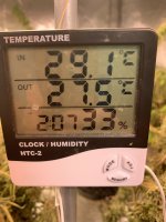 572FA654-EC39-4AB8-A7AC-F1CC9F6027D0.jpeg