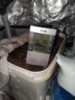 WhatsApp Image 2020-03-19 at 12.34.02.jpeg