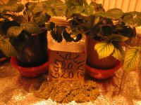 IMG_6180.JPG