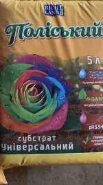 7CC8A16E-98A8-4F4D-B347-5DF666AB04AA.jpeg 7CC8A16E-98A8-4F4D-B347-5DF666AB04AA.jpeg