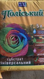 79D5C26F-37D9-4EFC-B1A9-407F2F259658.jpeg 79D5C26F-37D9-4EFC-B1A9-407F2F259658.jpeg