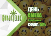 700х500.jpg