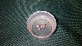 IMG_20200328_214326.jpg