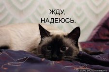KYFokbRnEg.jpg