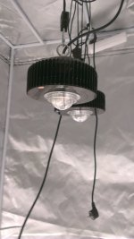 IMAG0767.jpg