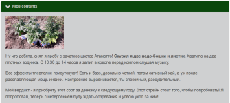 Ну что ребята..снял я пробу с зачатков цветов Агамотто.png