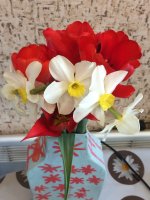 IMG_4634.JPG