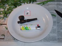 5bc3c0f0c0e5d 152018(21).JPG.8579ddcc65fb8dad4410cceb69e746c6.jpg