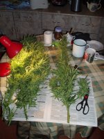 5bc3c05c6b9b0 152018(4).JPG.1d11125efdb17f645d4e17ce95b3ad32.jpg