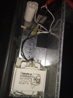 IMG_20200420_230816.jpg