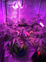 CBD8E0AE-B2A6-46AC-AD0D-64AB5319C62F.jpeg