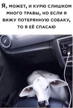 VWrS9cXZCtY.jpg
