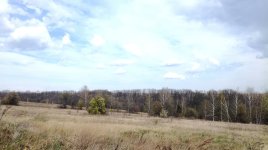 IMG_20200425_170022.jpg