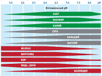 Без названия.png