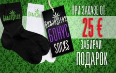 soks-560х350.jpg