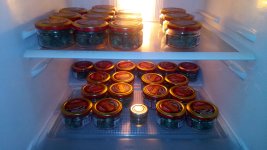 IMG_20200502_171222.jpg