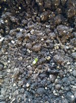 IMG_20200503_095706.jpg