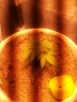 IMG_20200504_103345.jpg