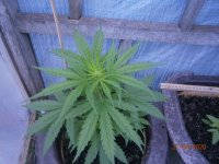 P4270037.JPG