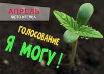 Я могу.jpg Я могу.jpg