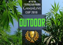 Outdoor 20191.jpg