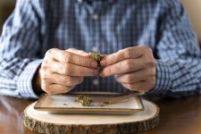 elderly-man-buds.jpg