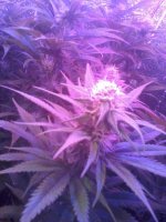 20170513_102624.jpg